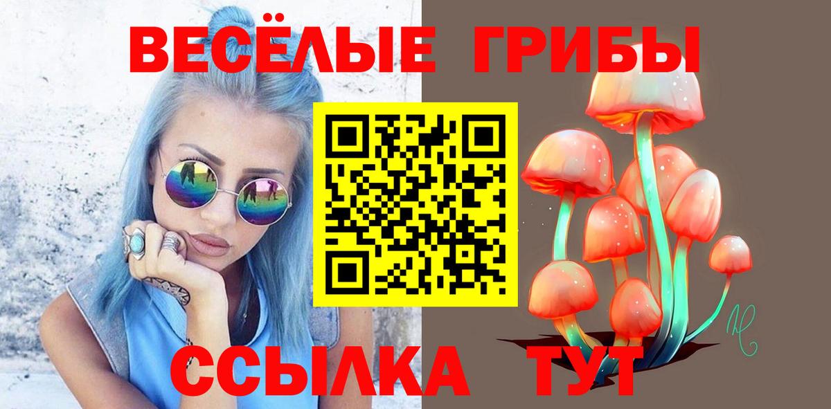 Псилоцибиновые грибы Magic Shrooms  Вход с VPN  Псилоцибиновые грибы мухоморы  Киров 