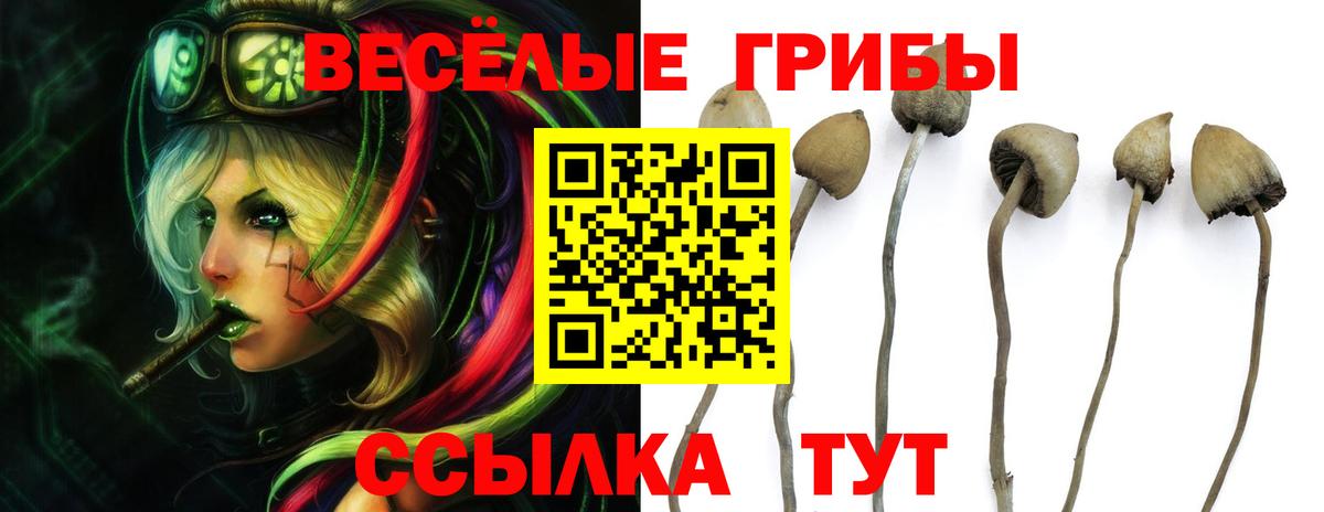 Псилоцибиновые грибы GOLDEN TEACHER Киров